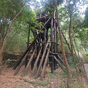 Indigenous Watchtower