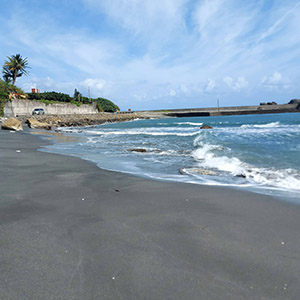 beach by Shiyusan Ecological Communities